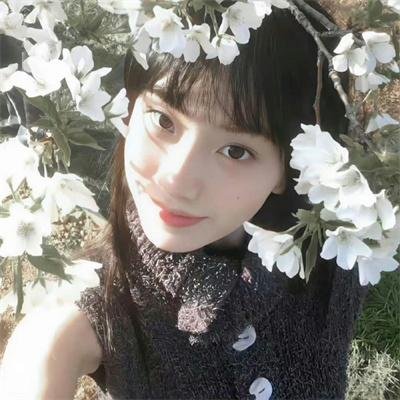 茶煲女人